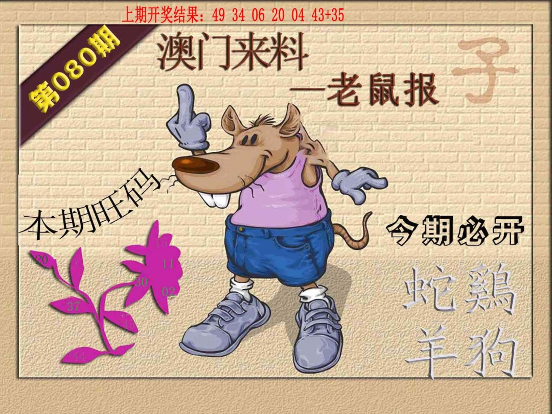 080期(来料)鼠报[图]